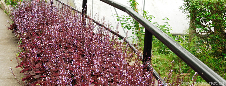 Yongji Ecological Park 