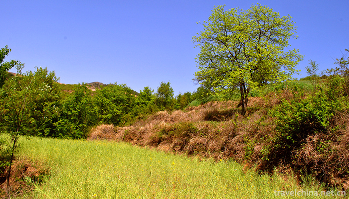 Yinghu-Scenic-Area-5