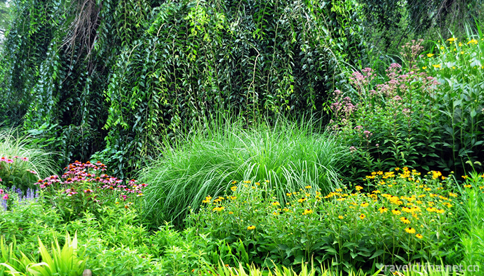 yuyuantan-park-2