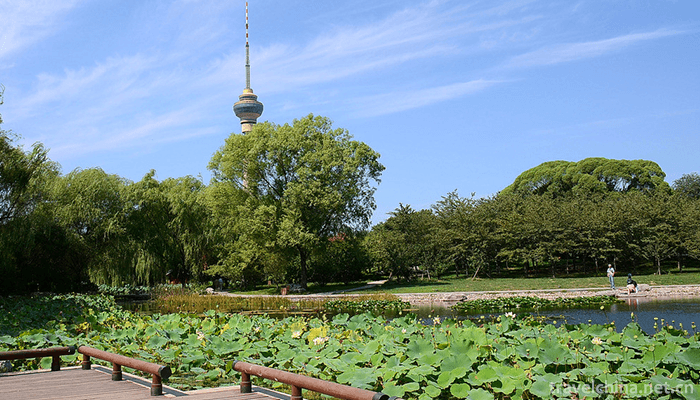 yuyuantan-park-7