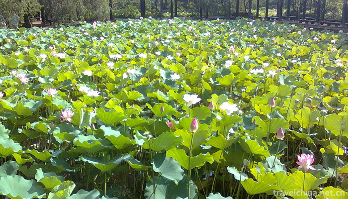 Yuehui-Garden-Scenic-Spot-12