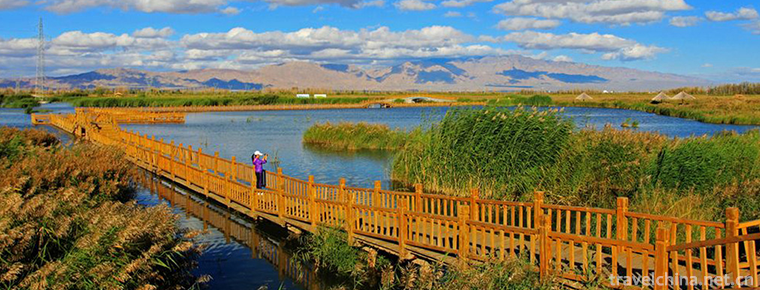 Zhangye National Wetland Park 