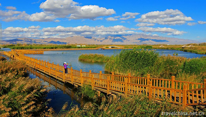 Zhangye-National-Wetland-Park-2