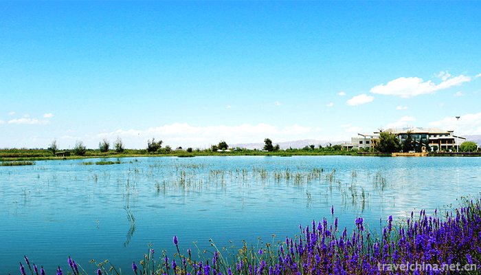 Zhangye National Wetland Park 3