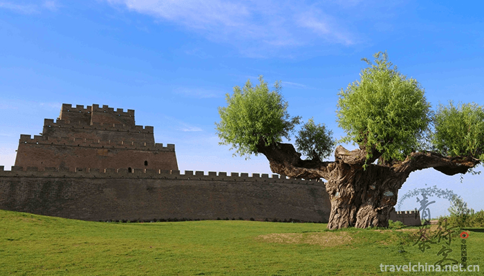 Zhen-Bei-Tai-2
