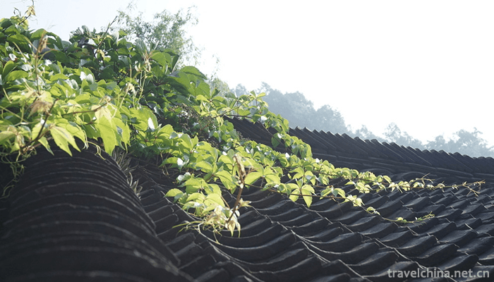 Chongdugou-Scenic-Area-7