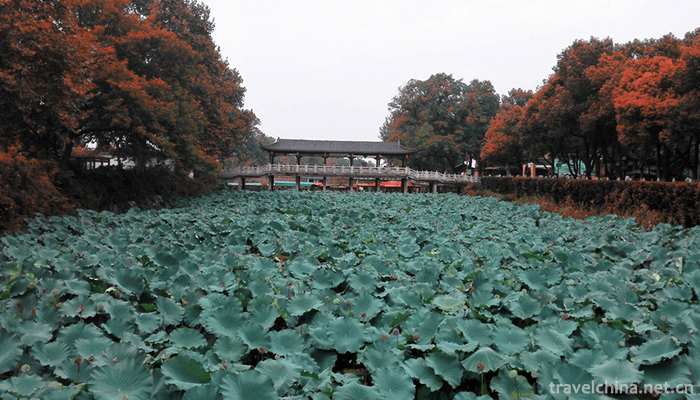 Zhenjiang-Jinshan-Temple-14