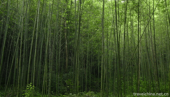 Chongdugou-Scenic-Area-5