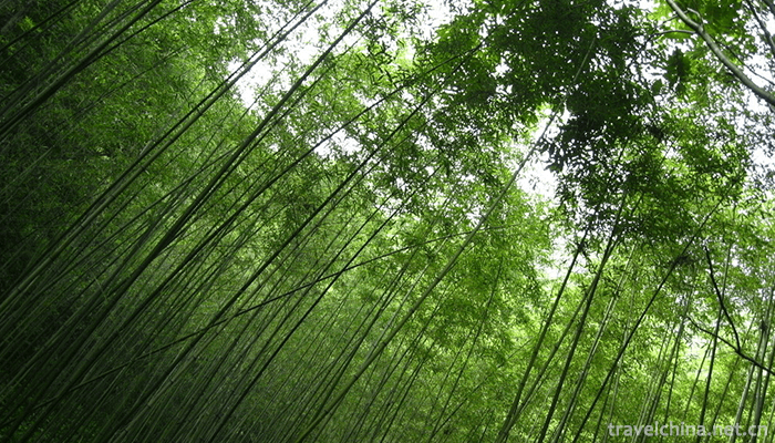 Chongdugou-Scenic-Area-6