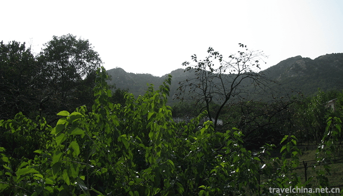 Zhushan-National-Forest-Park-2