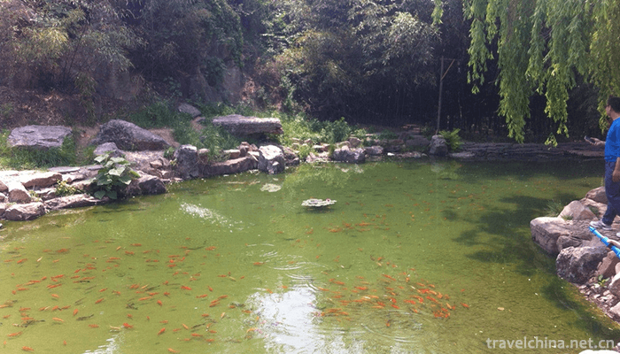 Zhuquan-Village-Tourist-Resort-9