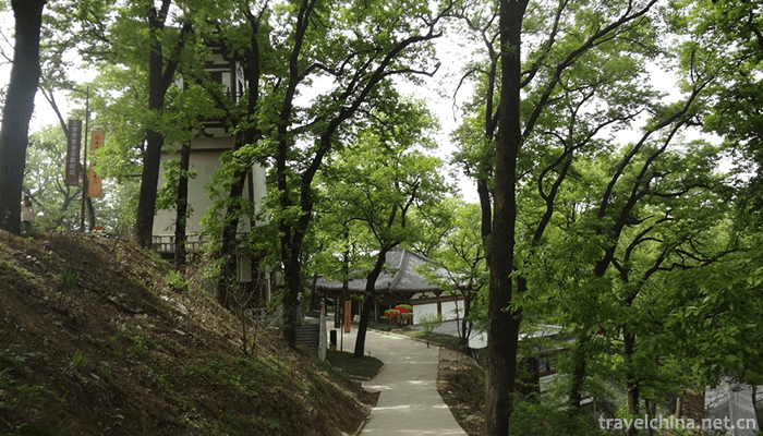 Purple-Peng-mountain-4