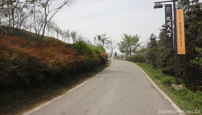 Purple-Peng-mountain-3