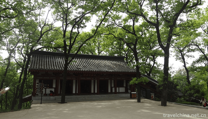 Purple-Peng-mountain-6