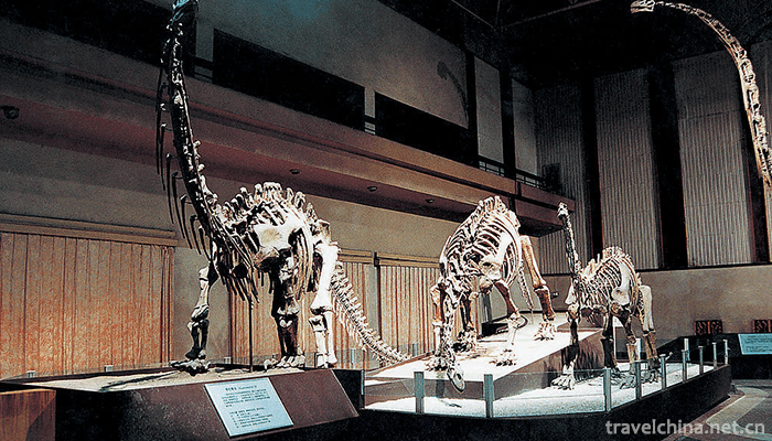 Zigong-Dinosaur-Museum-12