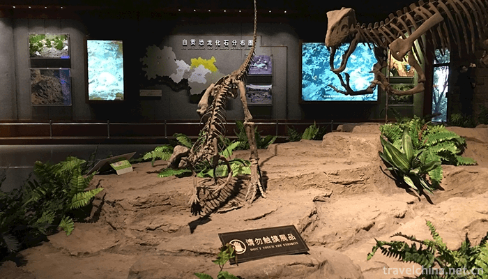 Zigong-Dinosaur-Museum-5