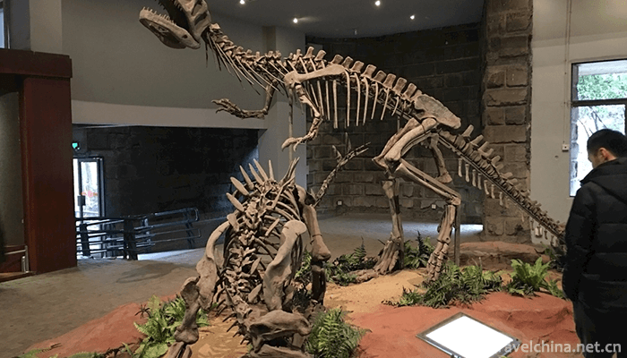 Zigong-Dinosaur-Museum-7