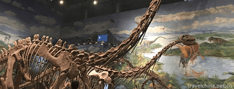 Zigong Dinosaur Museum 