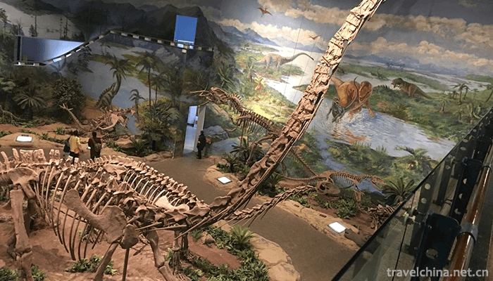 Zigong-Dinosaur-Museum-10