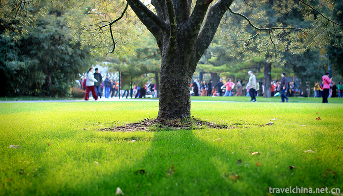 Zizhuyuan-Park-13