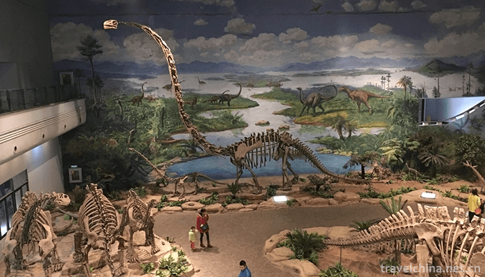 Zigong-Dinosaur-Museum-9