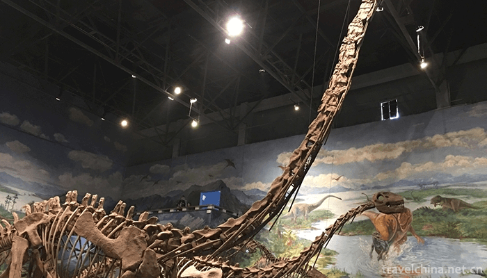 Zigong-Dinosaur-Museum-6