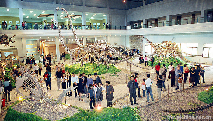 Zigong-Dinosaur-Museum-13
