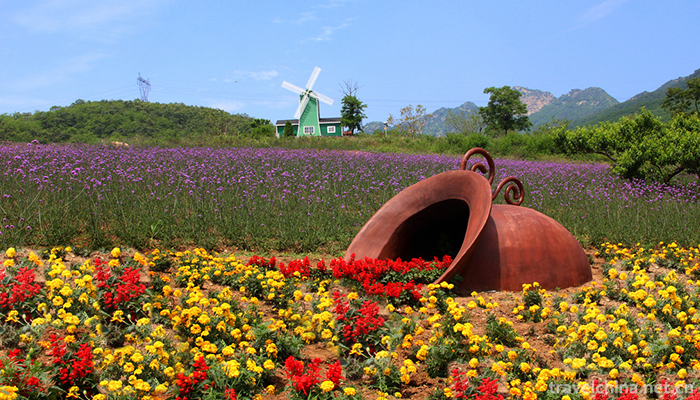 Ziyunhuashi-Lavender-Manor-10