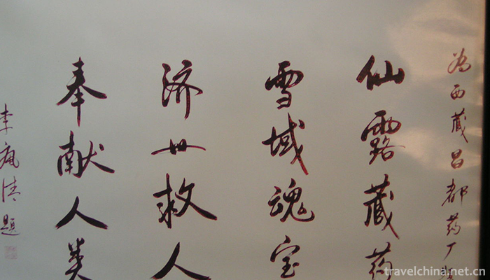 Tibetan-Medicine-3