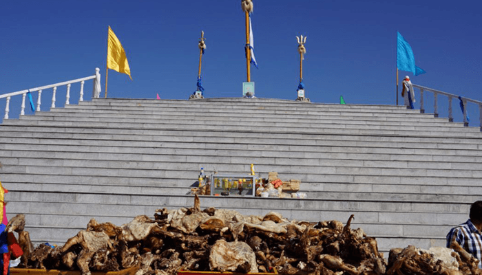 Chagan Sulide Festival 4