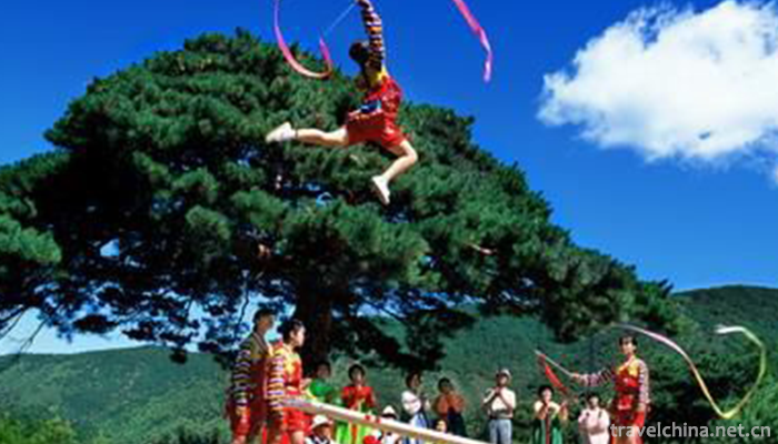 Korean Springboard and Swing 1