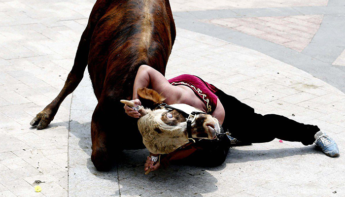 Bullfight2