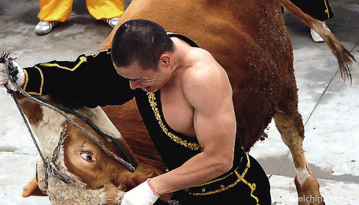 Bullfight1