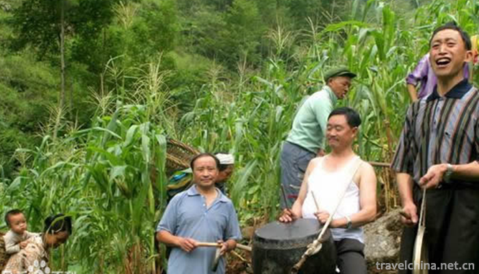 Grass-grass-drums-and-drums1