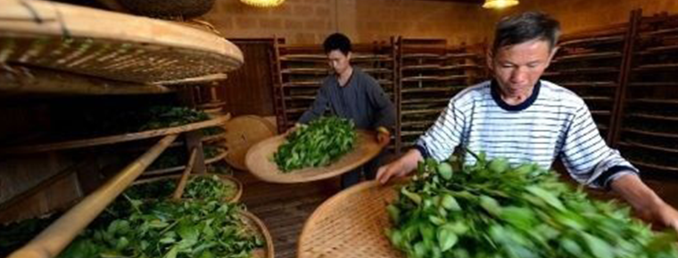 Production Techniques of Flower Tea