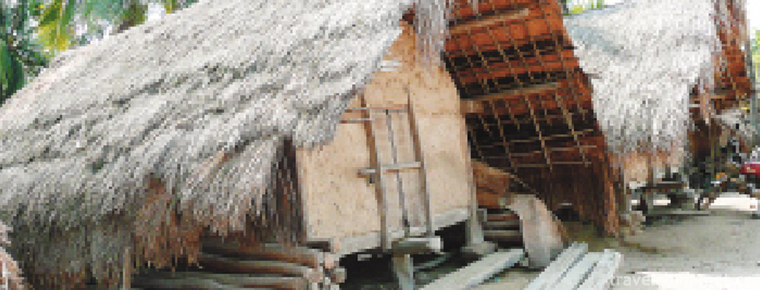 Construction Techniques of Li Nationalitys Ship type House