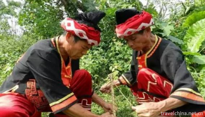 Li-Nationalitys-Wood-Drilling-and-Fire-making-Techniques1