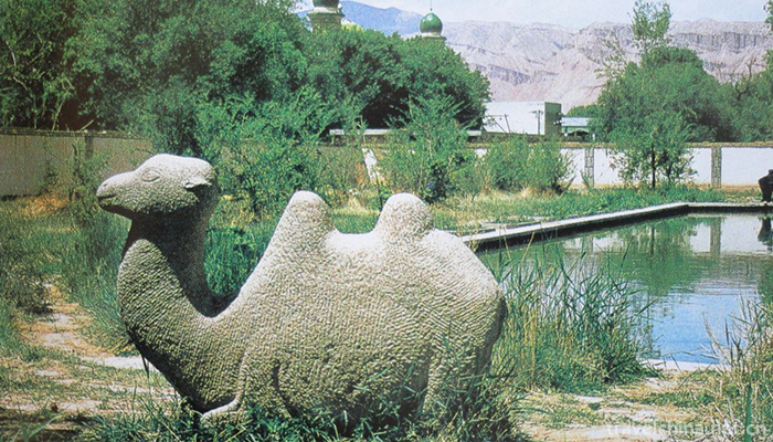 Legend-of-Camel-Spring1