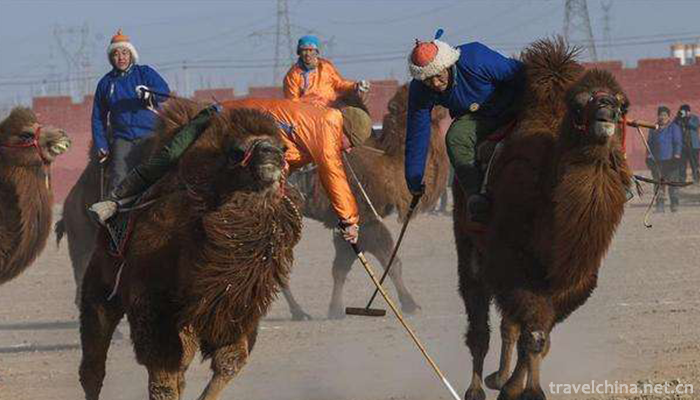 Mongolian-camel-ball1