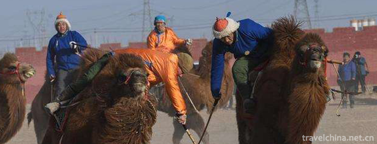 Mongolian camel ball