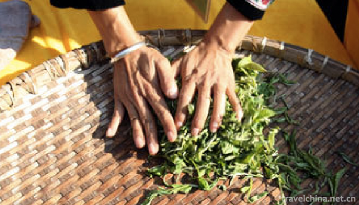 Production-Techniques-of-Pu-er-Tea1