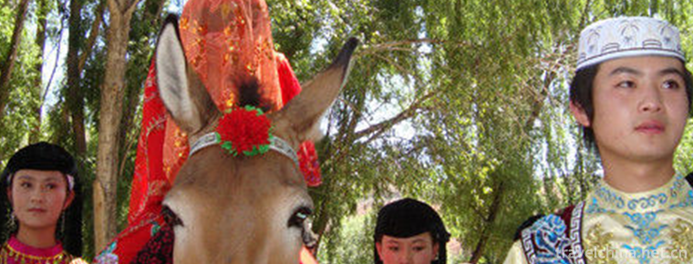 Salar Wedding
