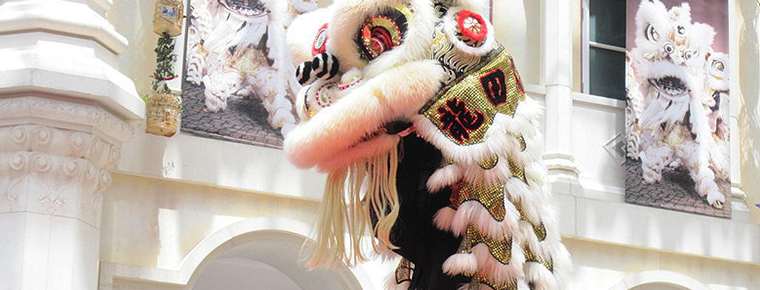 lion dance