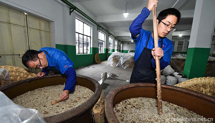 Brewing-Techniques-of-Shaoxing-Yellow-Rice-Wine1
