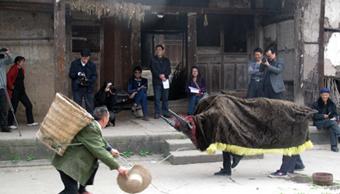 Play-with-cattle1