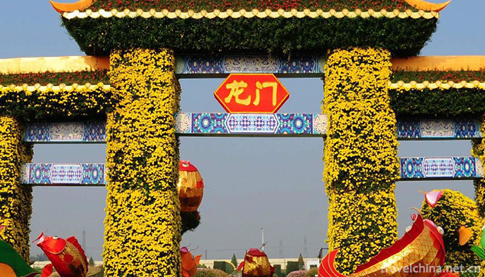Xiaolan-Chrysanthemum-Club1