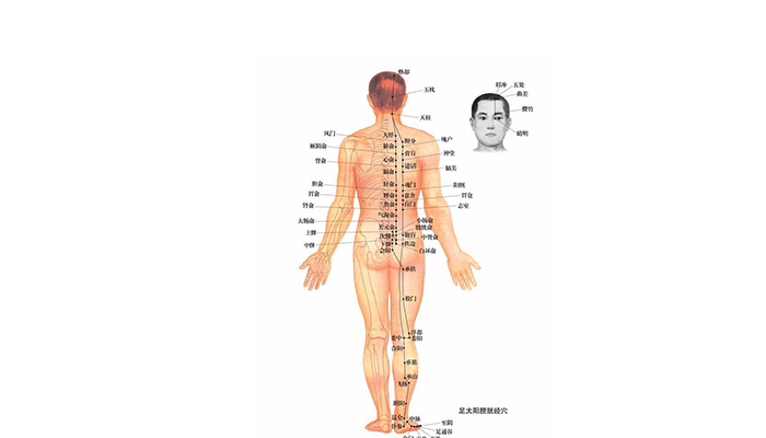 Cognitive-Method-of-Life-and-Disease-in-Traditional-Chinese-Medicine1