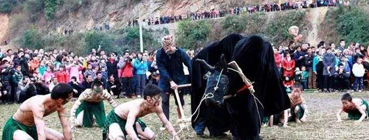 Add another festival beside the word ants of the Zhuang nationality