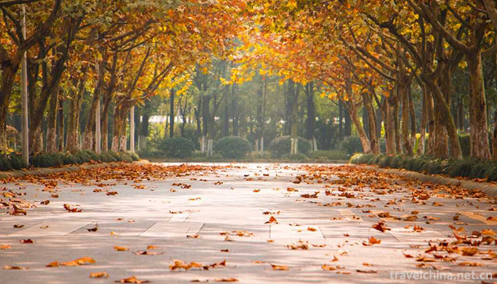Chengdu-Technological-University3