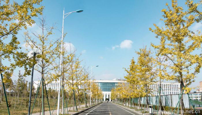 Chengdu-University-of-Technology12